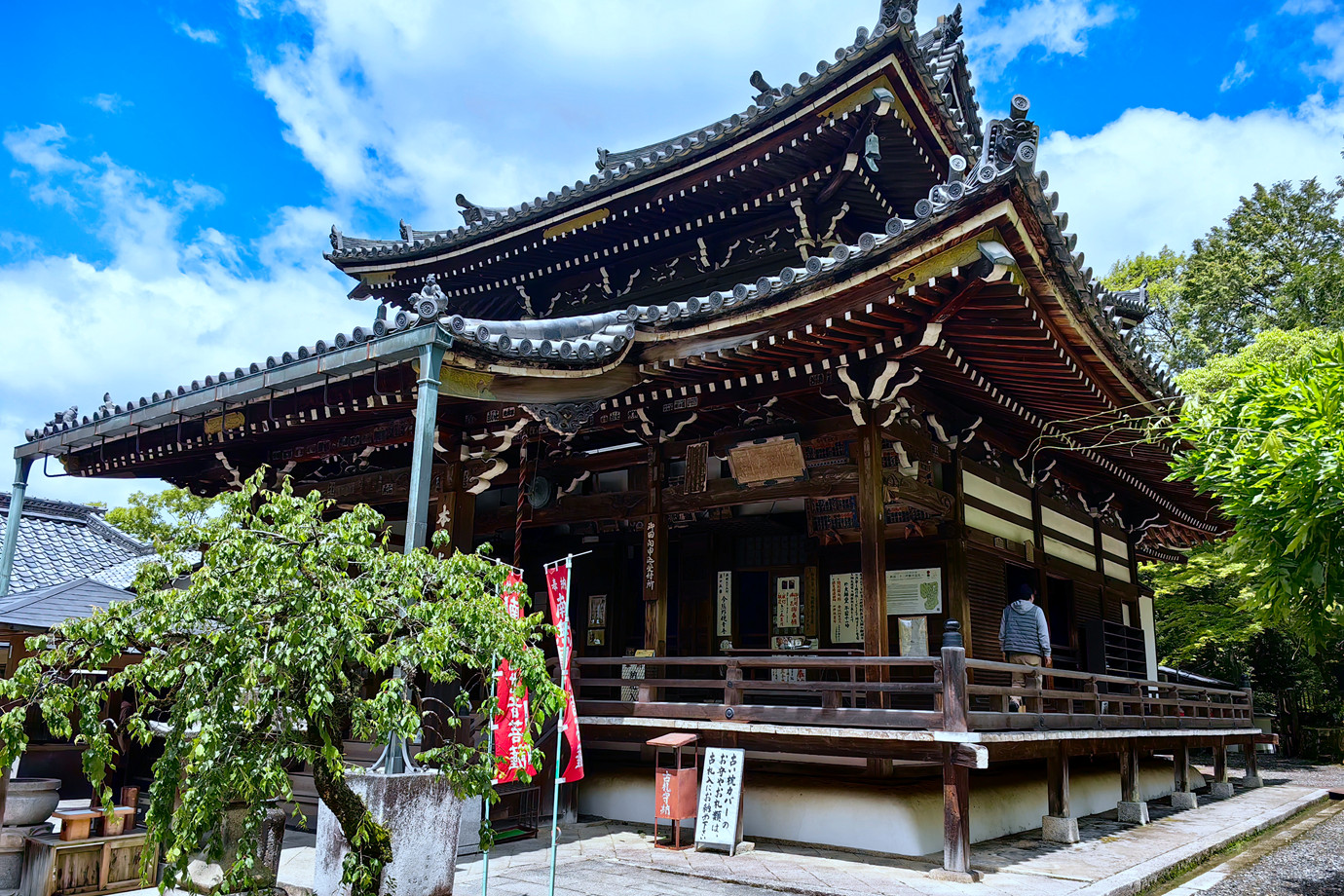 西國三十三所-新那智山観音寺 (今熊野観音寺 )